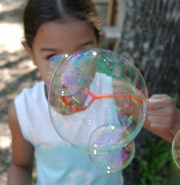Summer of Science Adventures!